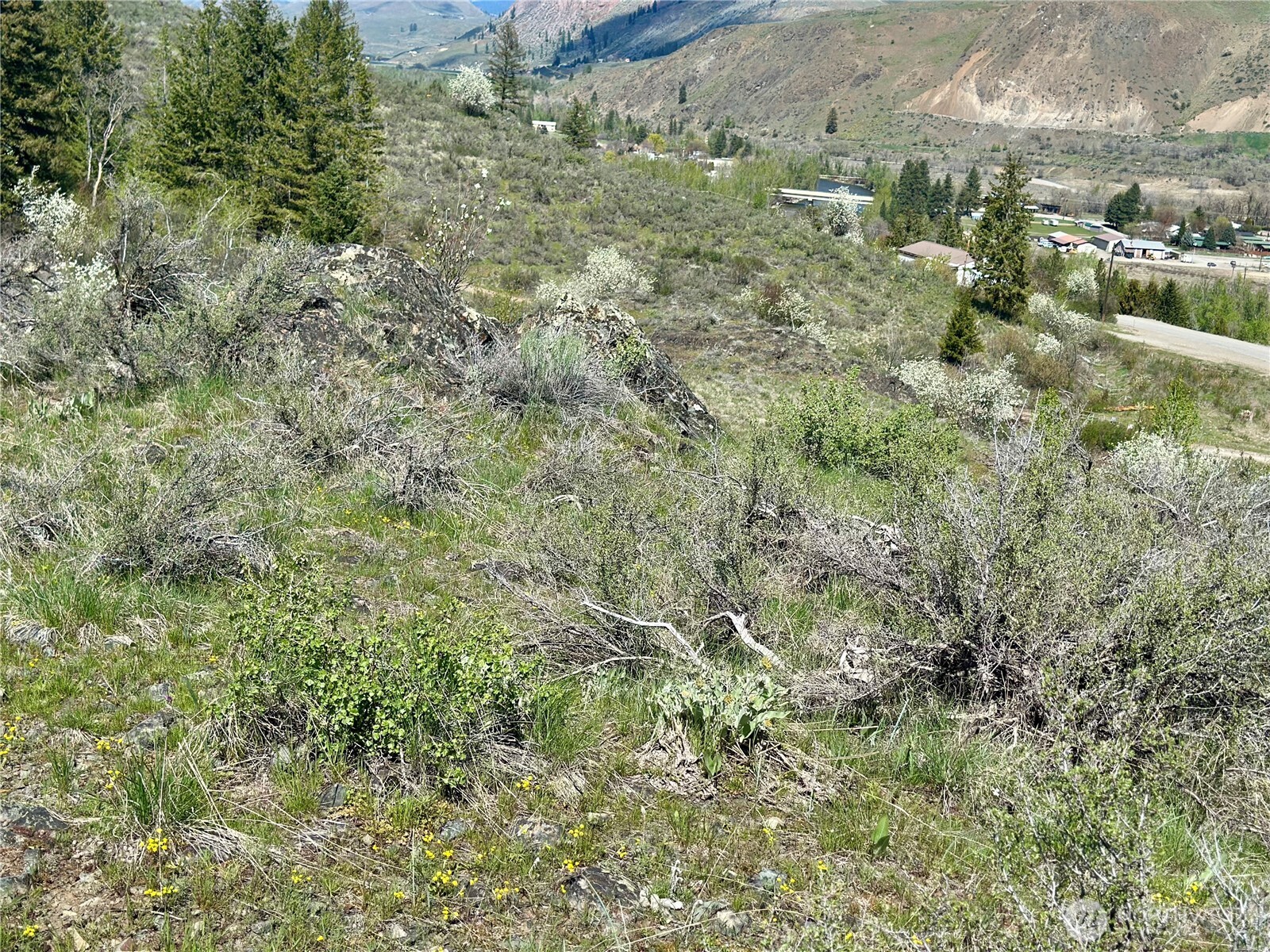 2 x Alder Road , Twisp, WA 98856