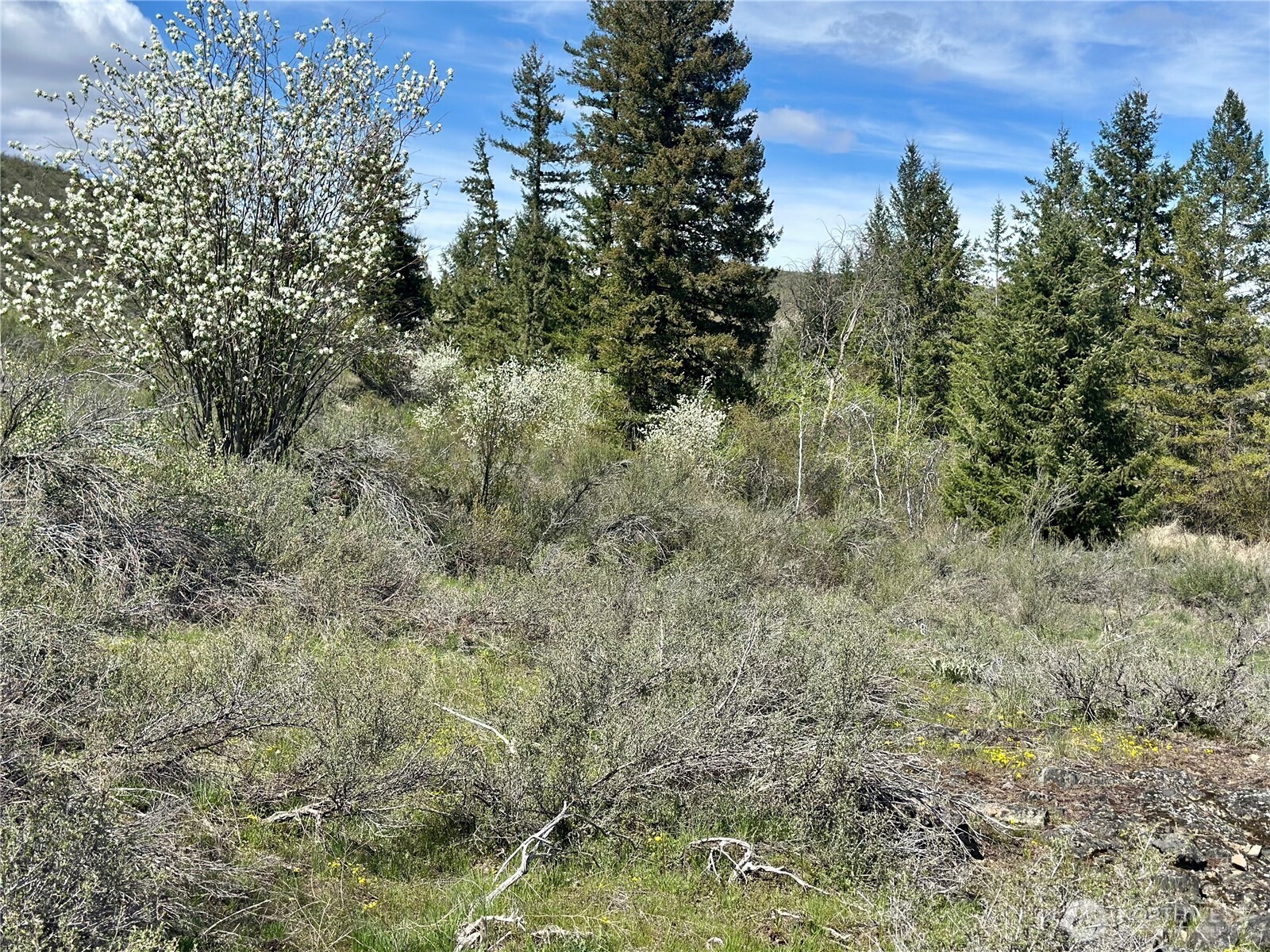 2 x Alder Road , Twisp, WA 98856