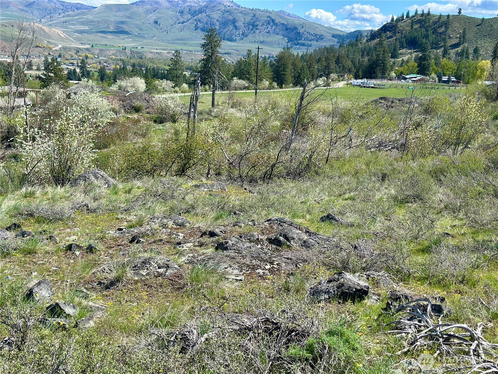 2 x Alder Road , Twisp, WA 98856