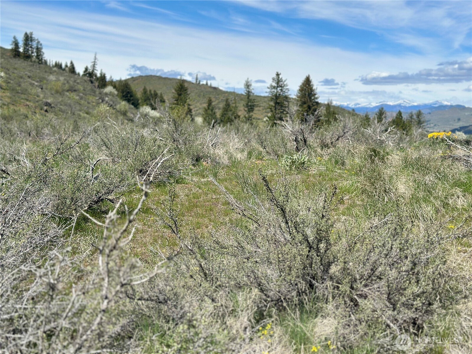 2 x Alder Road , Twisp, WA 98856