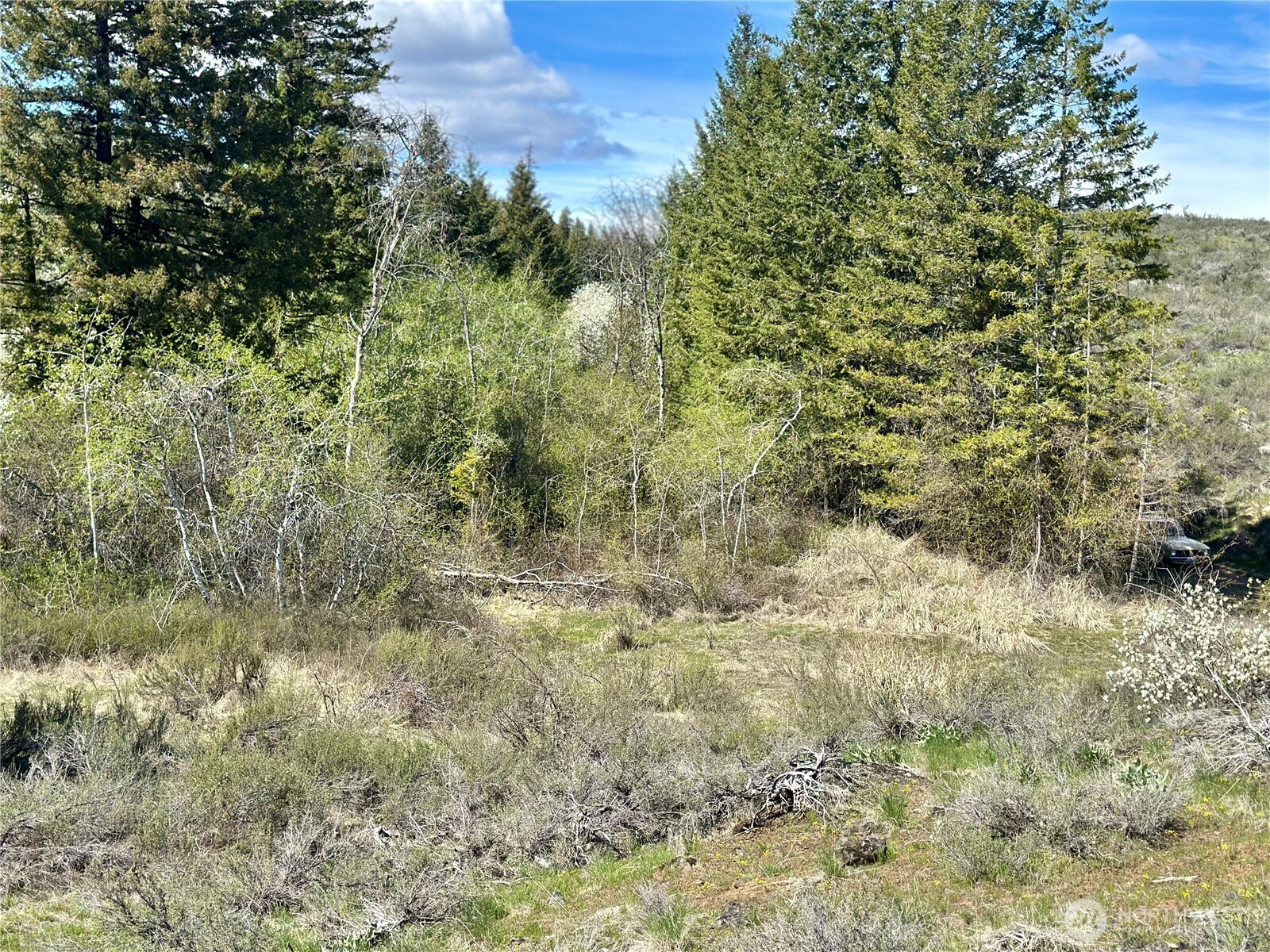 2 x Alder Road , Twisp, WA 98856