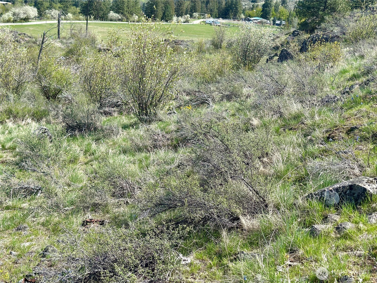 2 x Alder Road , Twisp, WA 98856