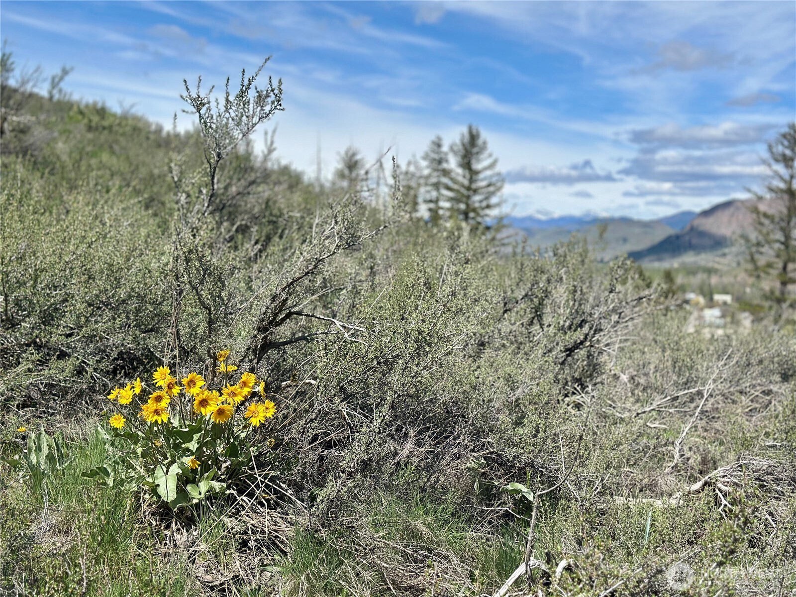 2 x Alder Road , Twisp, WA 98856