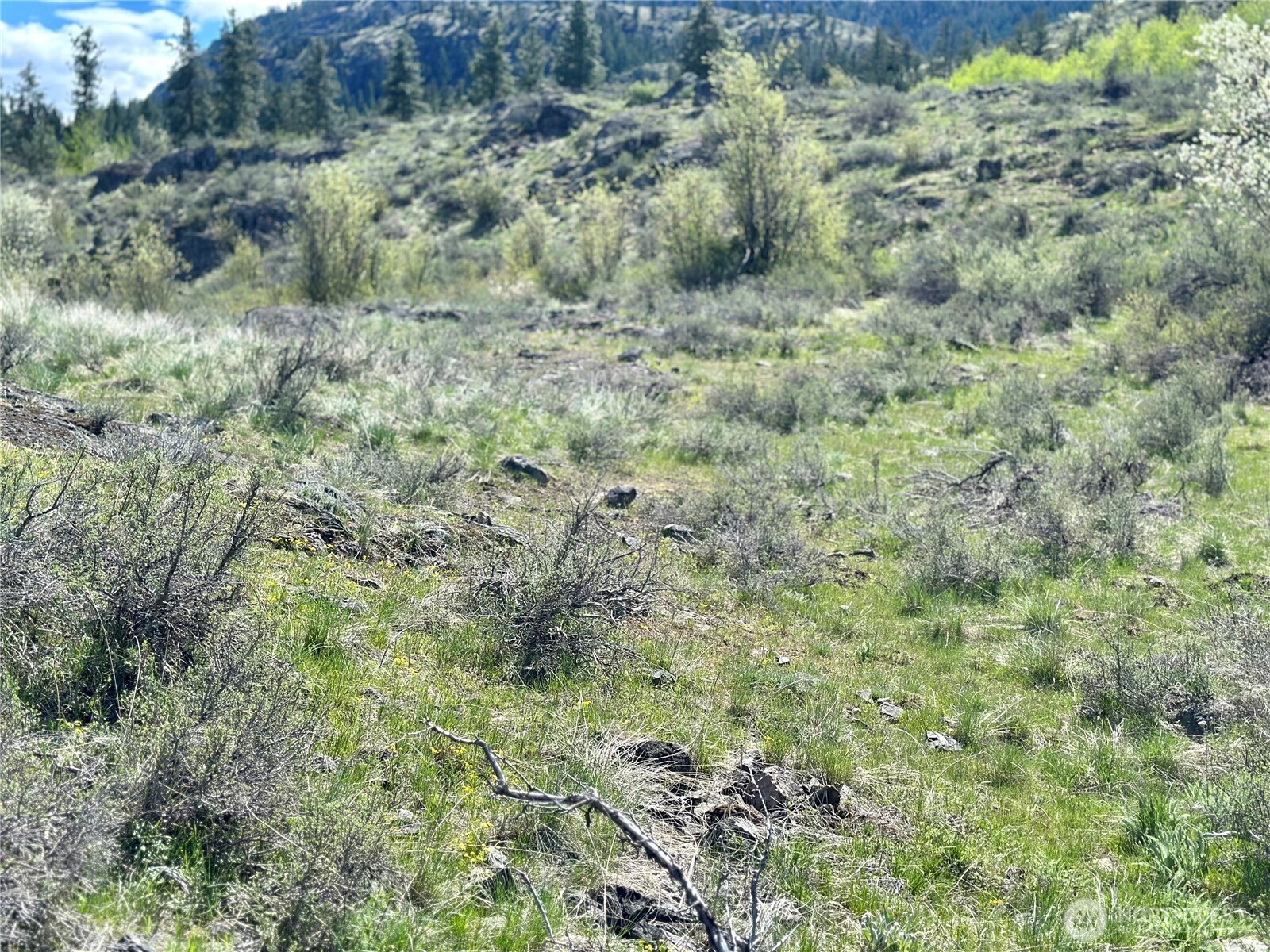 2 x Alder Road , Twisp, WA 98856