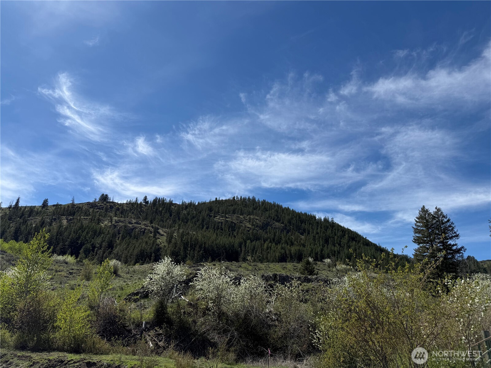 2 x Alder Road , Twisp, WA 98856