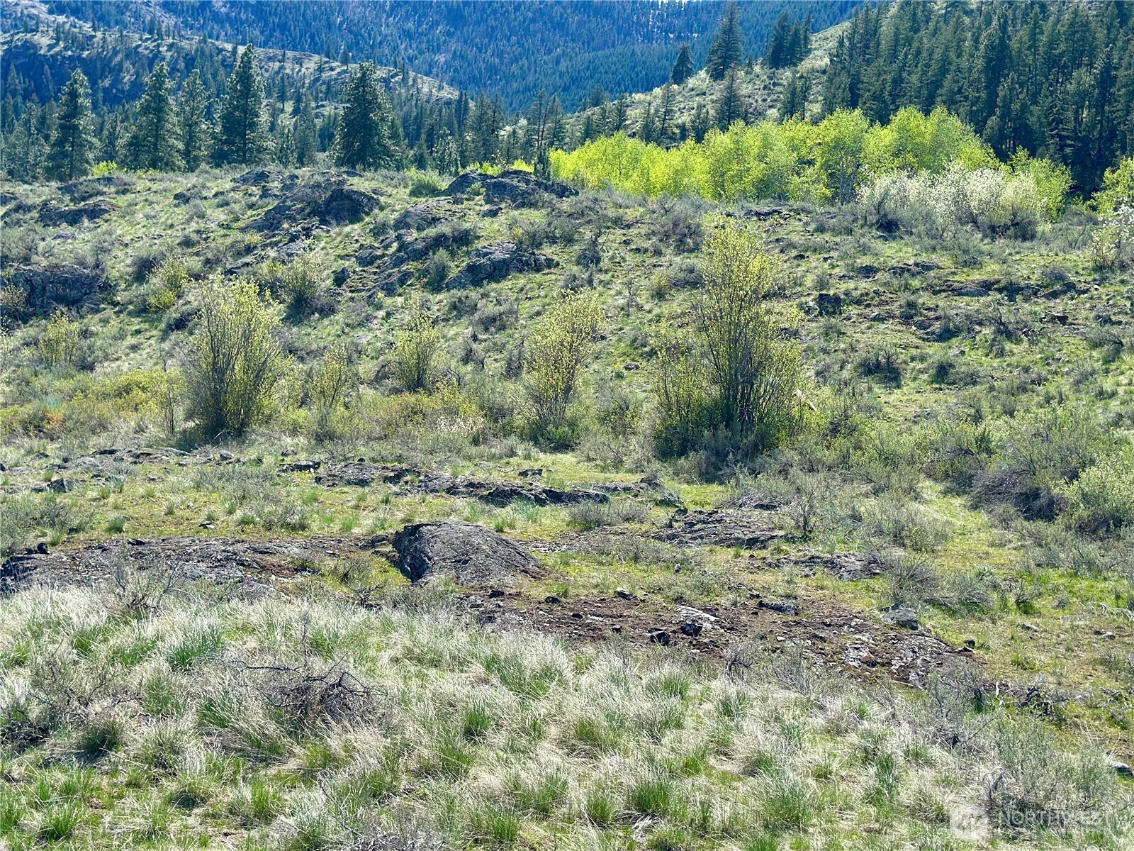 2 x Alder Road , Twisp, WA 98856
