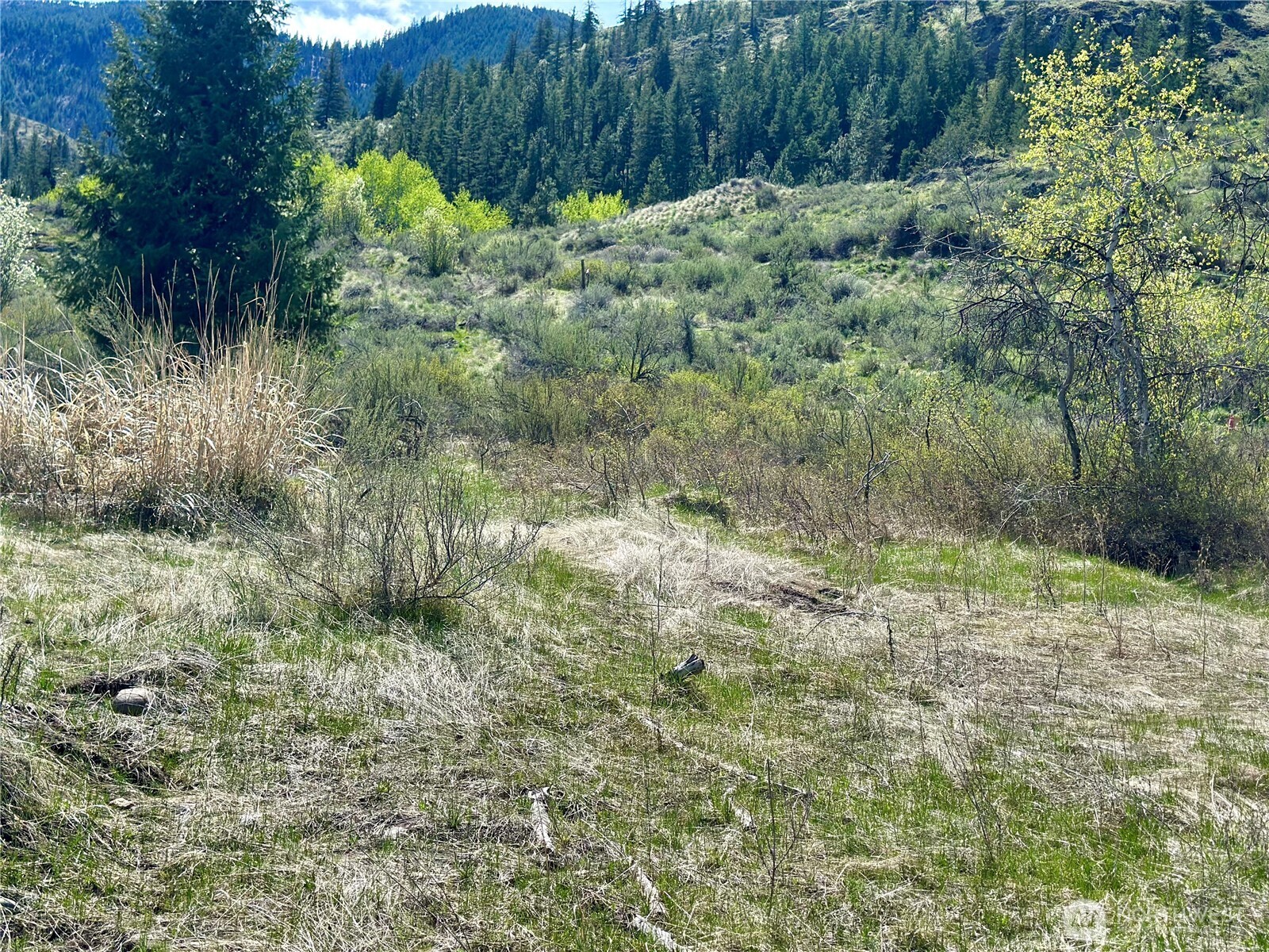 2 x Alder Road , Twisp, WA 98856