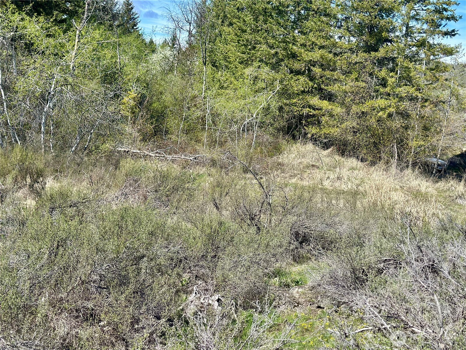 2 x Alder Road , Twisp, WA 98856
