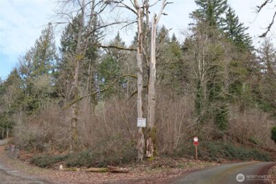 239 SE 238th Street , Maple Valley, WA 98038