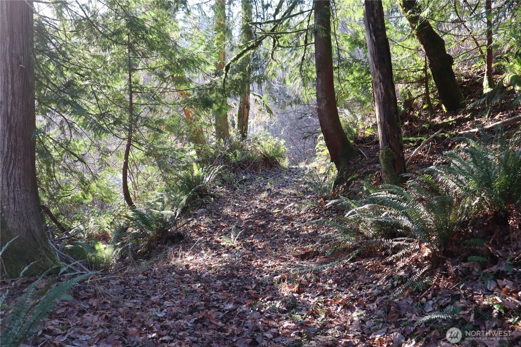 239 SE 238th Street , Maple Valley, WA 98038