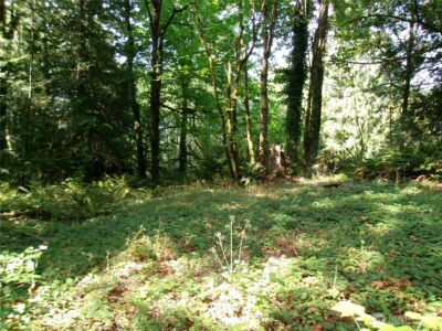 6724 SE Sedgwick Road , Port Orchard, WA 98366 - Photo 14