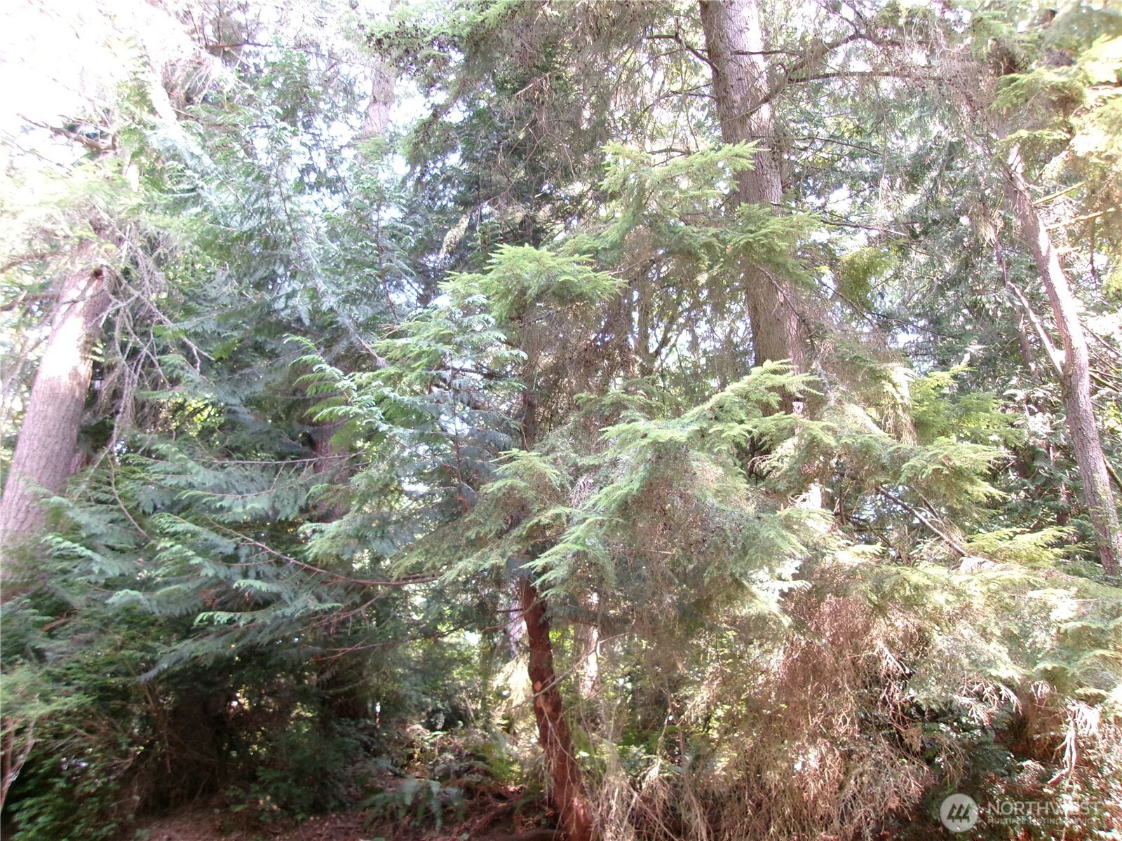6724 SE Sedgwick Road , Port Orchard, WA 98366