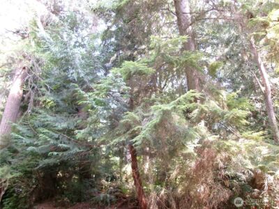 6724 SE Sedgwick Road , Port Orchard, WA 98366 - Photo 8