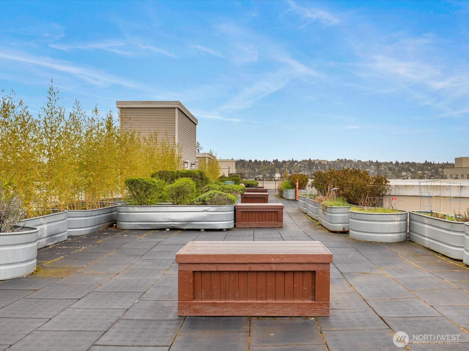 1545 NW 57th Street #202, Seattle, WA 98107