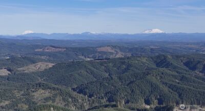 2916 Little Hanaford Rd , Centralia, WA 98531-8959 - Photo 13