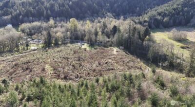 2916 Little Hanaford Rd , Centralia, WA 98531-8959 - Photo 10