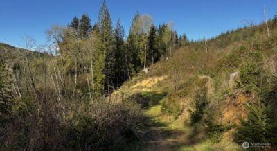 2916 Little Hanaford Rd , Centralia, WA 98531-8959 - Photo 11