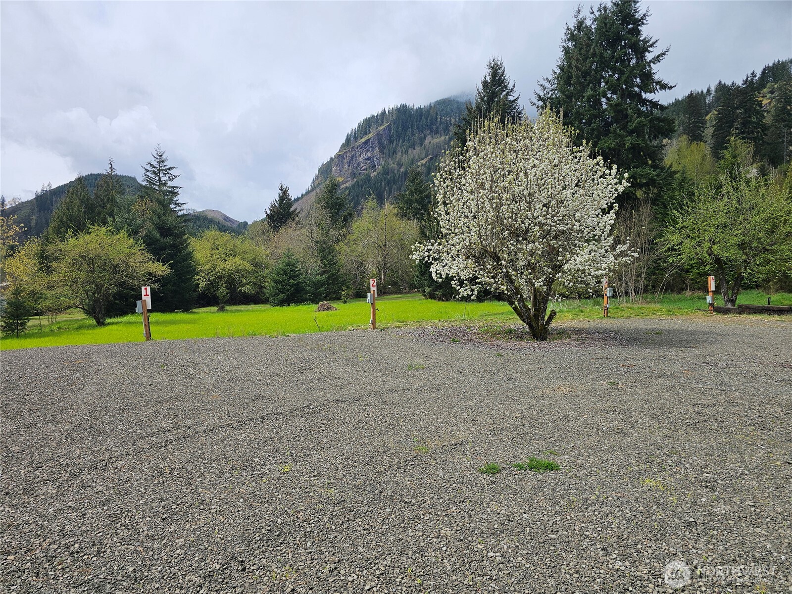 113 Leroy Road , Randle, WA 98377