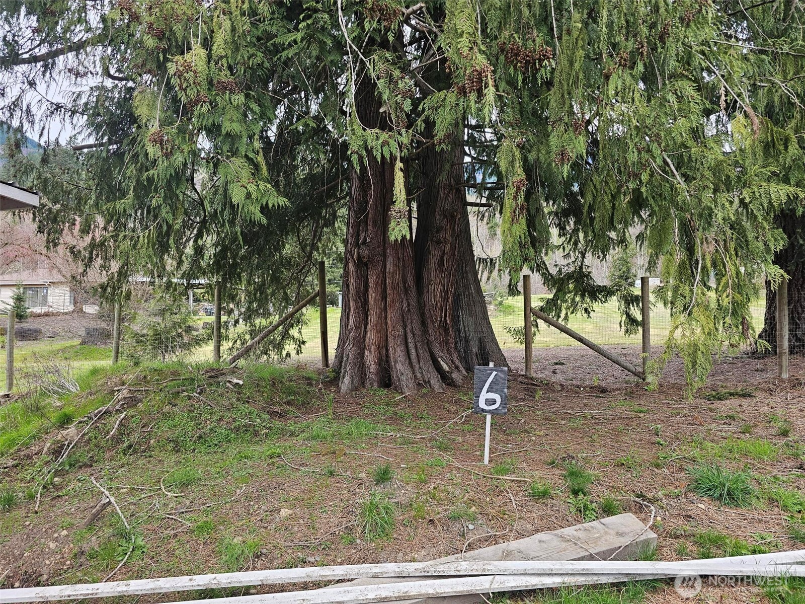 113 Leroy Road , Randle, WA 98377
