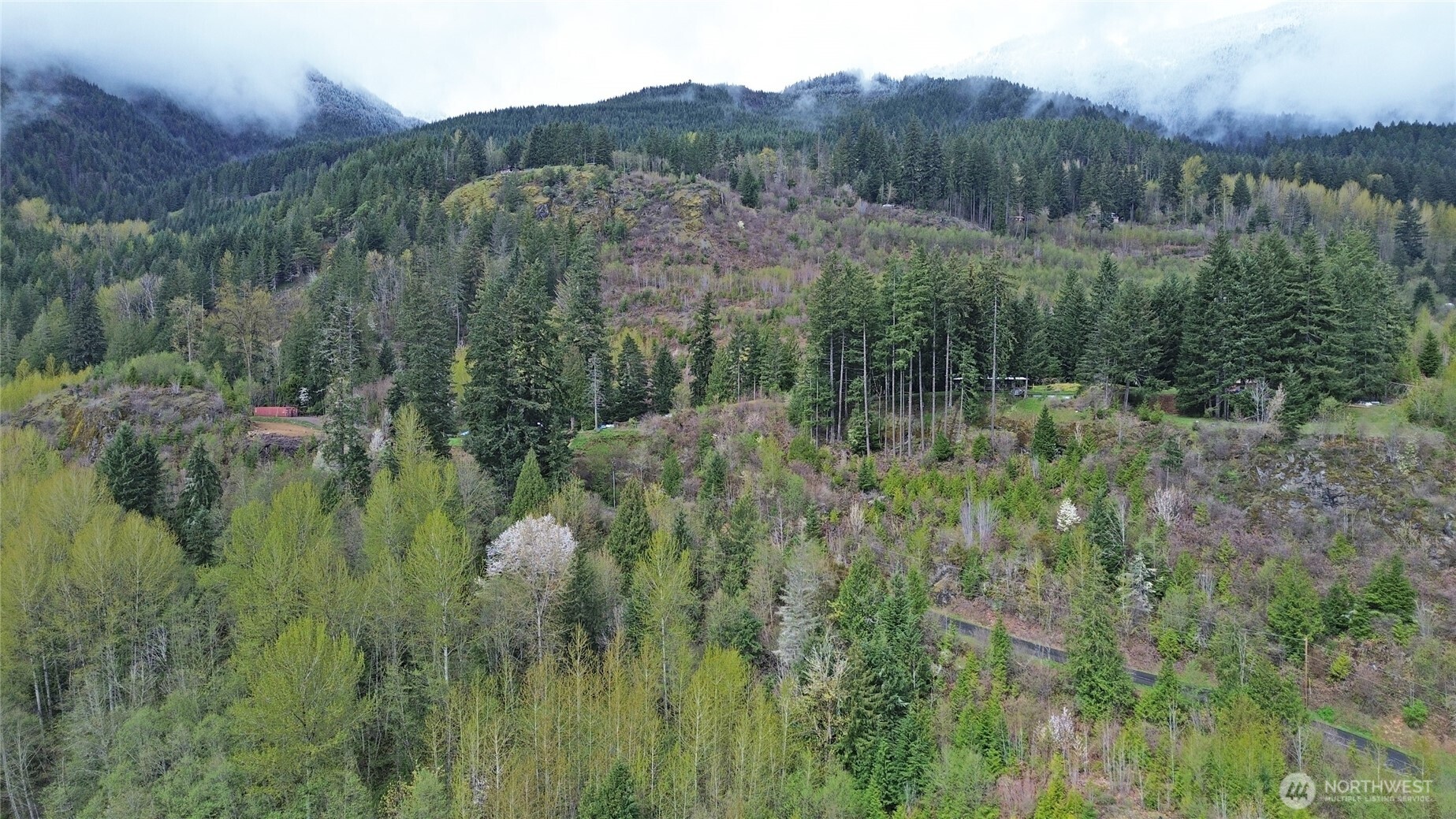 113 Leroy Road , Randle, WA 98377