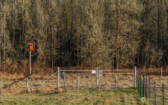 19017 Voight Meadows Road E, Orting, WA 98360-9284