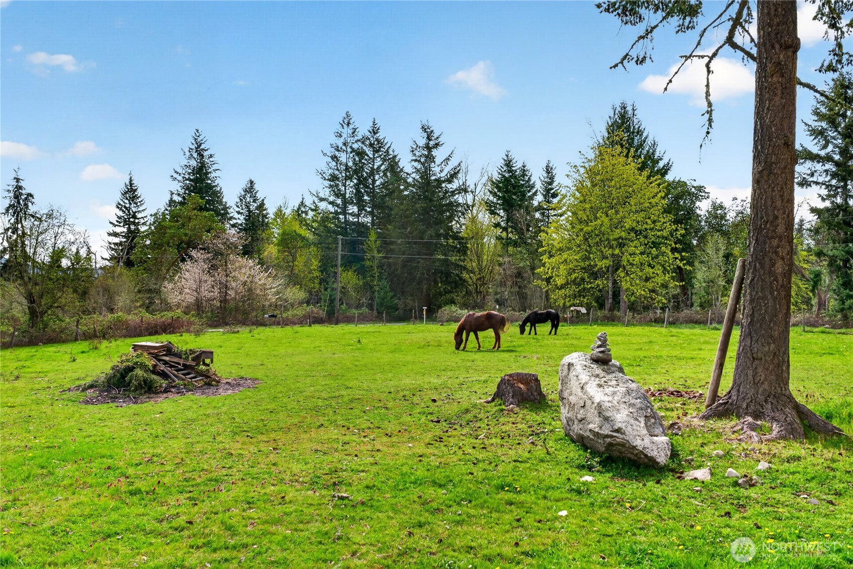 41419 94th Avenue E, Eatonville, WA 98328