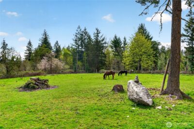 41419 94th Avenue E, Eatonville, WA 98328 - Photo 29