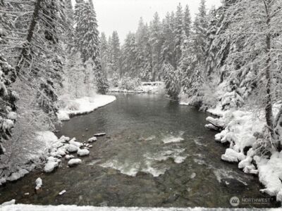 19052 Gill Creek Road , Lake Wenatchee, WA 98826 - Photo 2