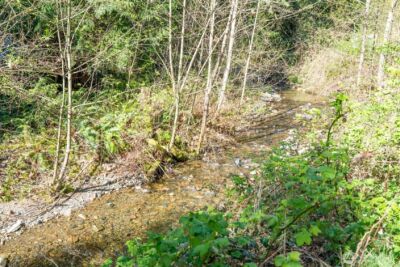 27001 N US Highway 101 , Hoodsport, WA 98548 - Photo 36