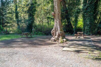 27001 N US Highway 101 , Hoodsport, WA 98548 - Photo 37