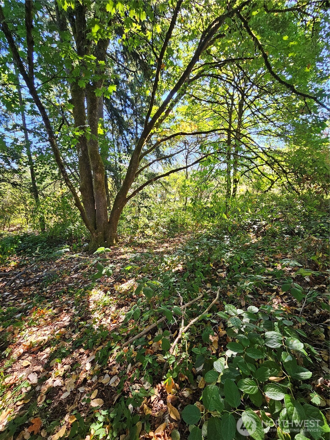 3225 41st Street NE, Tacoma, WA 98422