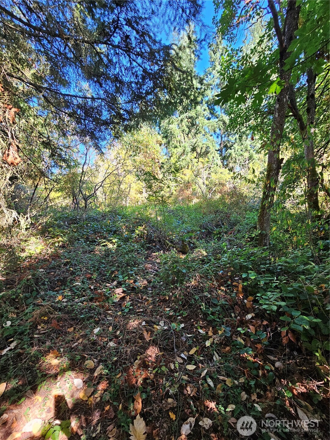 3225 41st Street NE, Tacoma, WA 98422