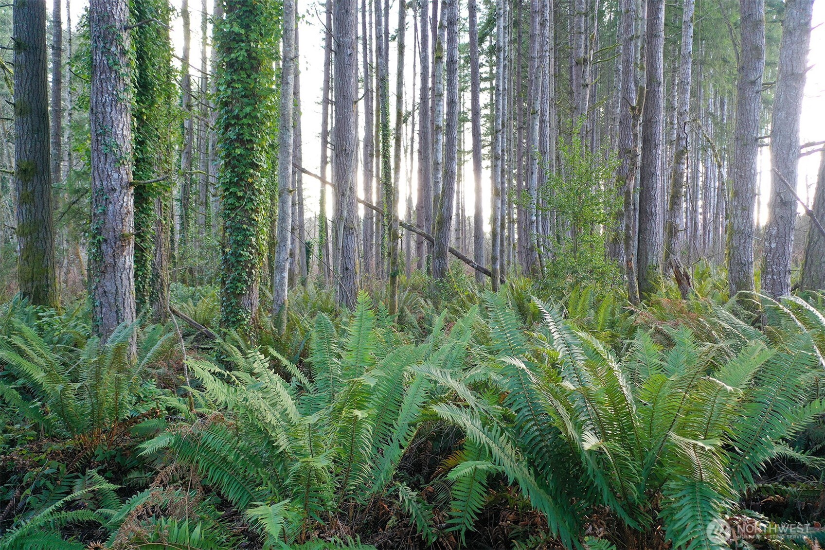 437 NW Equestrian Drive , Poulsbo, WA 98370