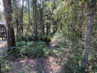11024 Matthews Way , Anderson Island, WA 98303 - Photo 11