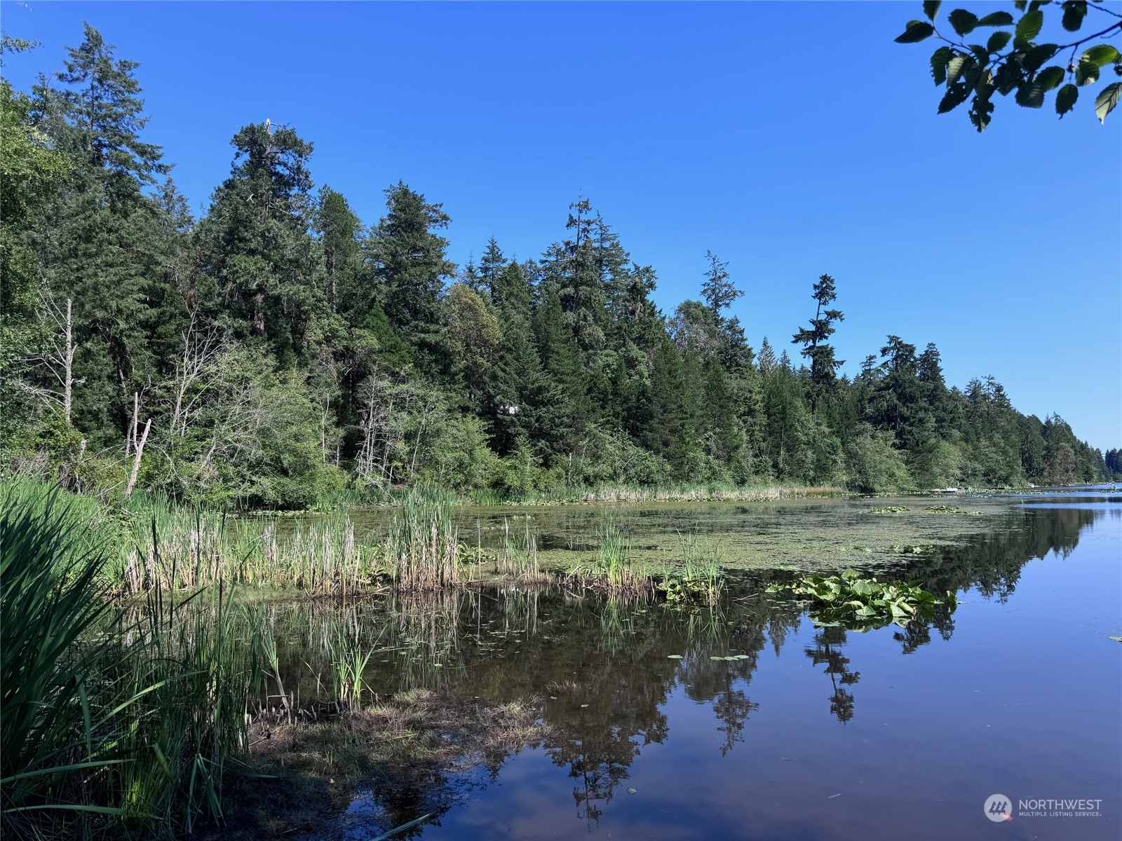 11024 Matthews Way , Anderson Island, WA 98303