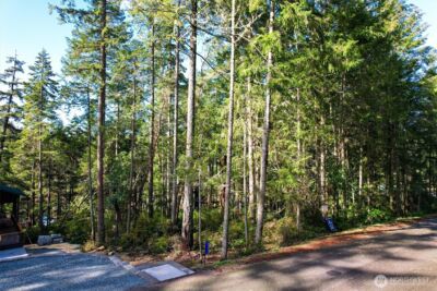 11024 Matthews Way , Anderson Island, WA 98303 - Photo 10