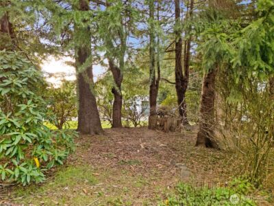 20 SE Cabana Avenue , Shelton, WA 98584 - Photo 38