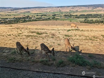 1561 Bitterbrush Drive , Ellensburg, WA 98926