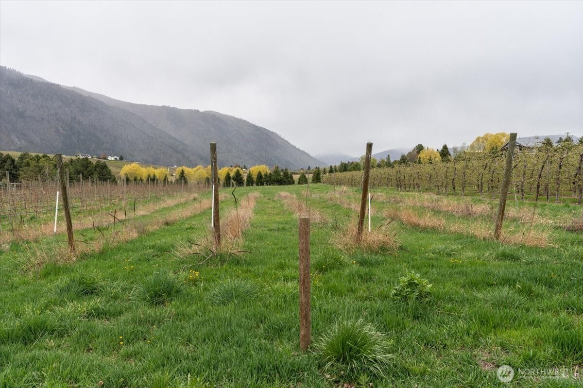 293 Barkley Road , Manson, WA 98831