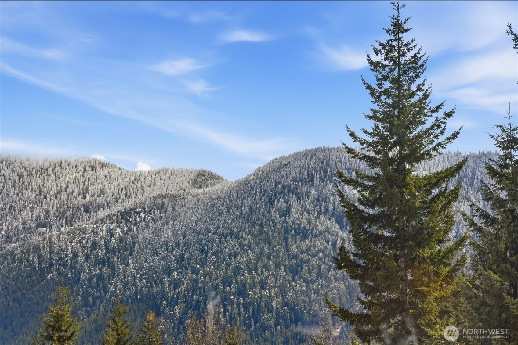 21 Arlberg Place , Snoqualmie Pass, WA 98068