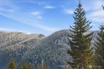 21 Arlberg Place , Snoqualmie Pass, WA 98068 - Photo 31