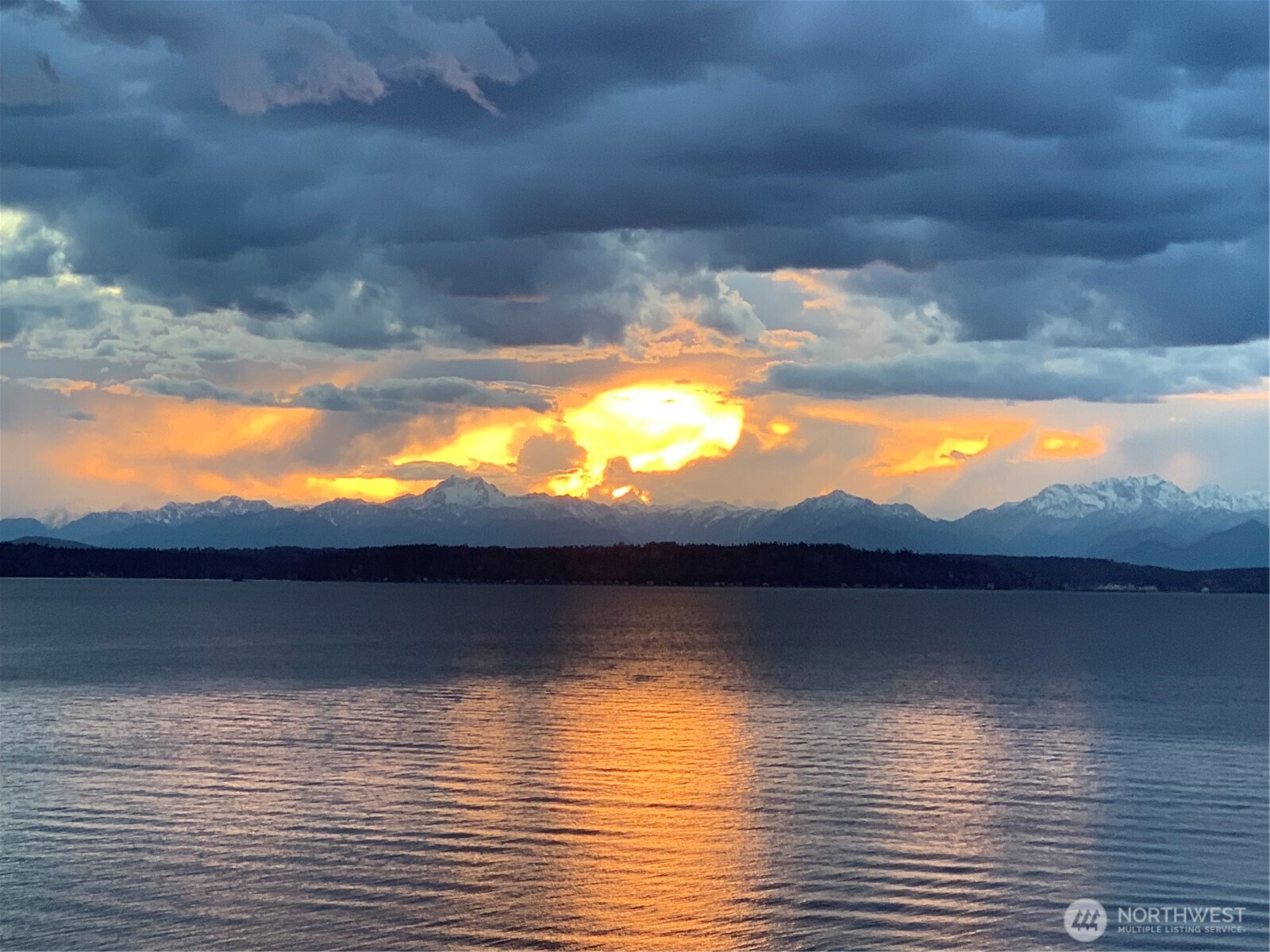1388 Alki Avenue SW #402, Seattle, WA 98116