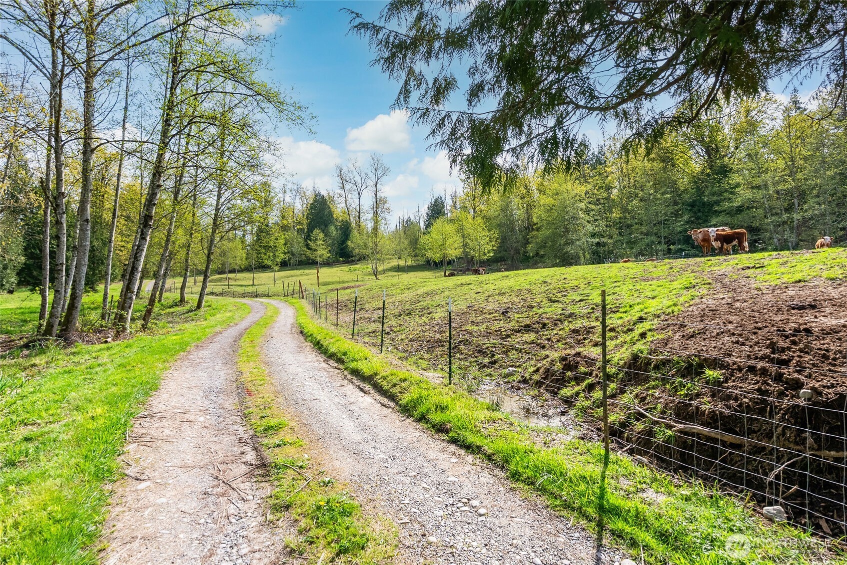 3753 Bay Road , Ferndale, WA 98248