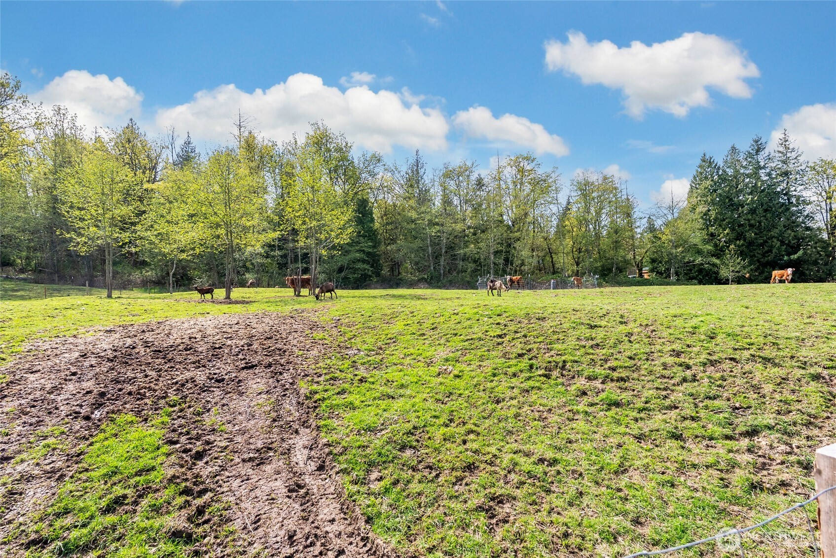 3753 Bay Road , Ferndale, WA 98248