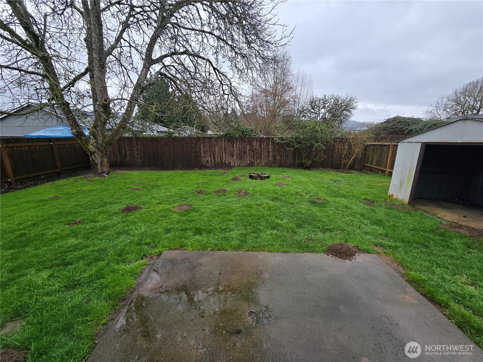 1106 S 11th Avenue , Kelso, WA 98626
