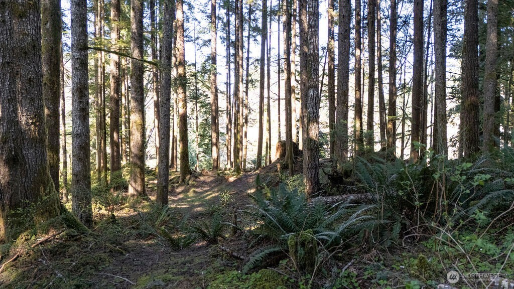 999 Night Hawk Lane , Clallam Bay, WA 98326