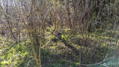 999 Night Hawk Lane , Clallam Bay, WA 98326 - Photo 25