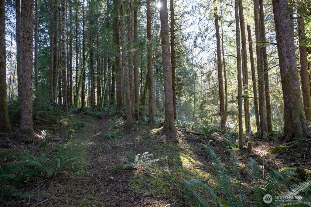 999 Night Hawk Lane , Clallam Bay, WA 98326