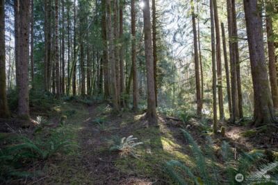999 Night Hawk Lane , Clallam Bay, WA 98326 - Photo 28