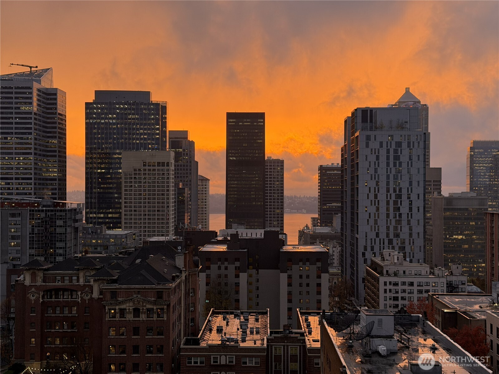 1105 Spring Street #1309, Seattle, WA 98104